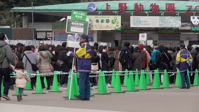 弁天門で入場券を買い 表門から入ると 平日の上野動物園混雑状況シャンシャン 2月21日