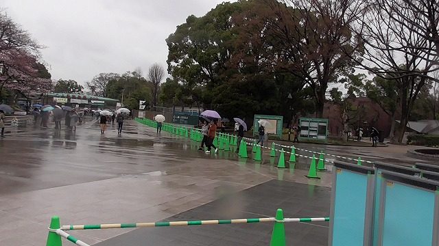 上野動物園開園記念日3月日の混雑状況は 雨の抽選日シャンシャン