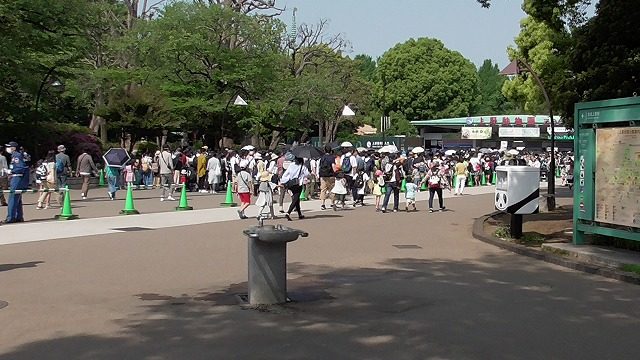 Gw日曜日の上野動物園混雑状況 表門は9時開園 ぬいぐるみ 切手販売など 4月29日