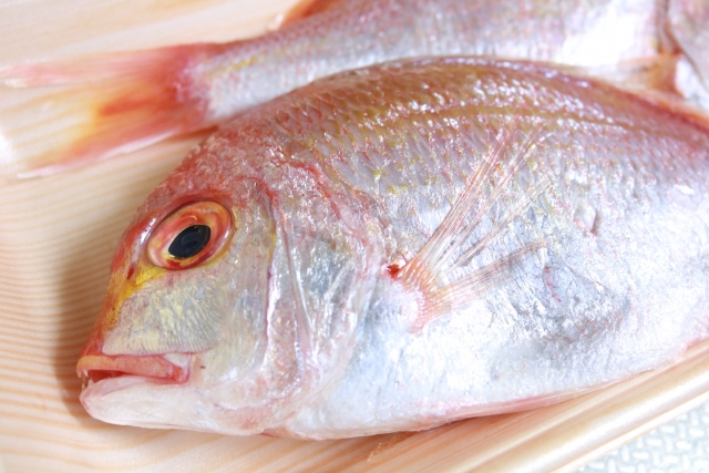 白身魚の種類わかる？離乳食にはいつからでどれが安心？アレルギーは？