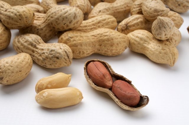 落花生の薄皮が便秘に効く ピーナッツの渋皮の栄養と剥き方